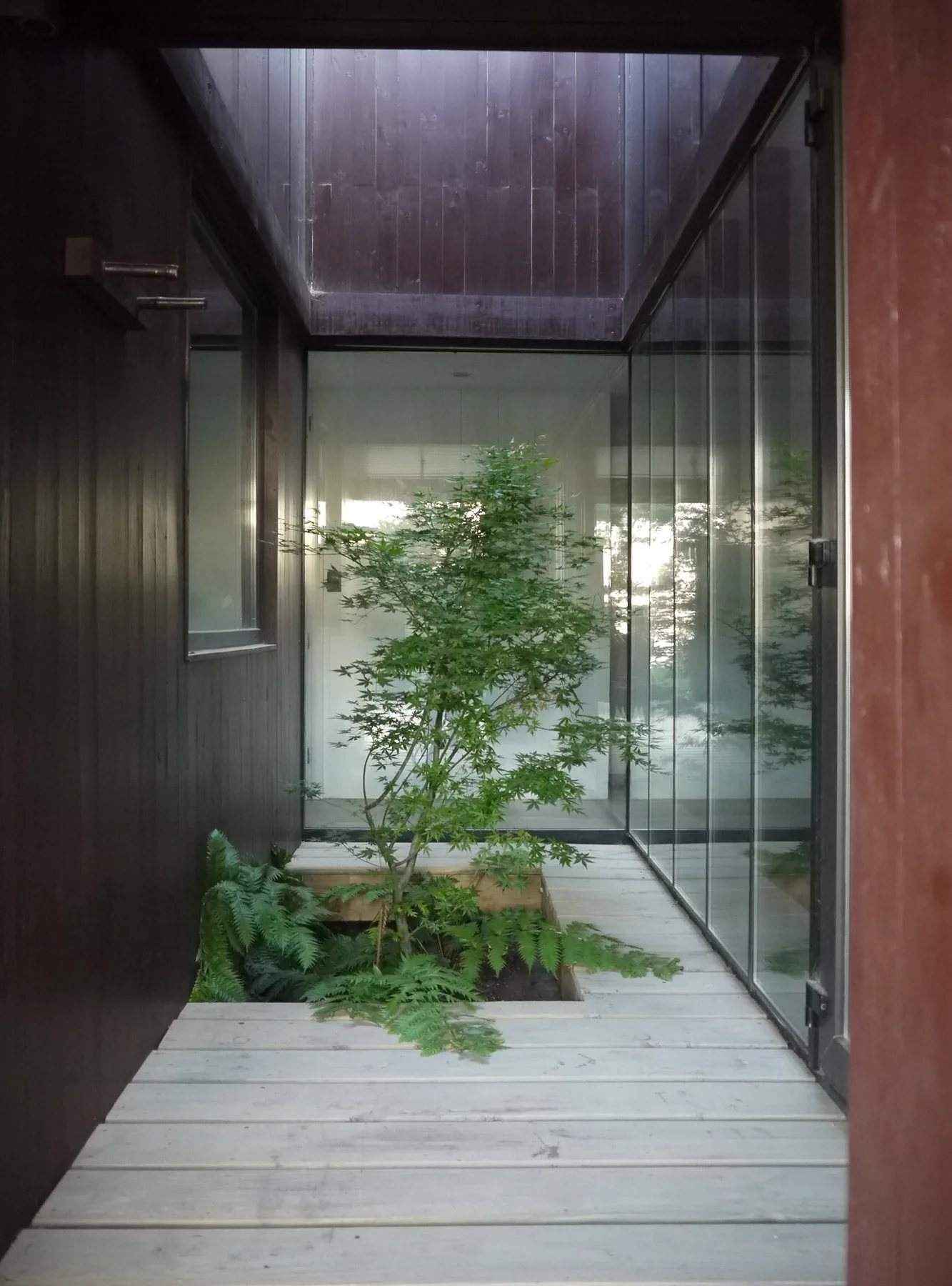 Patio interior