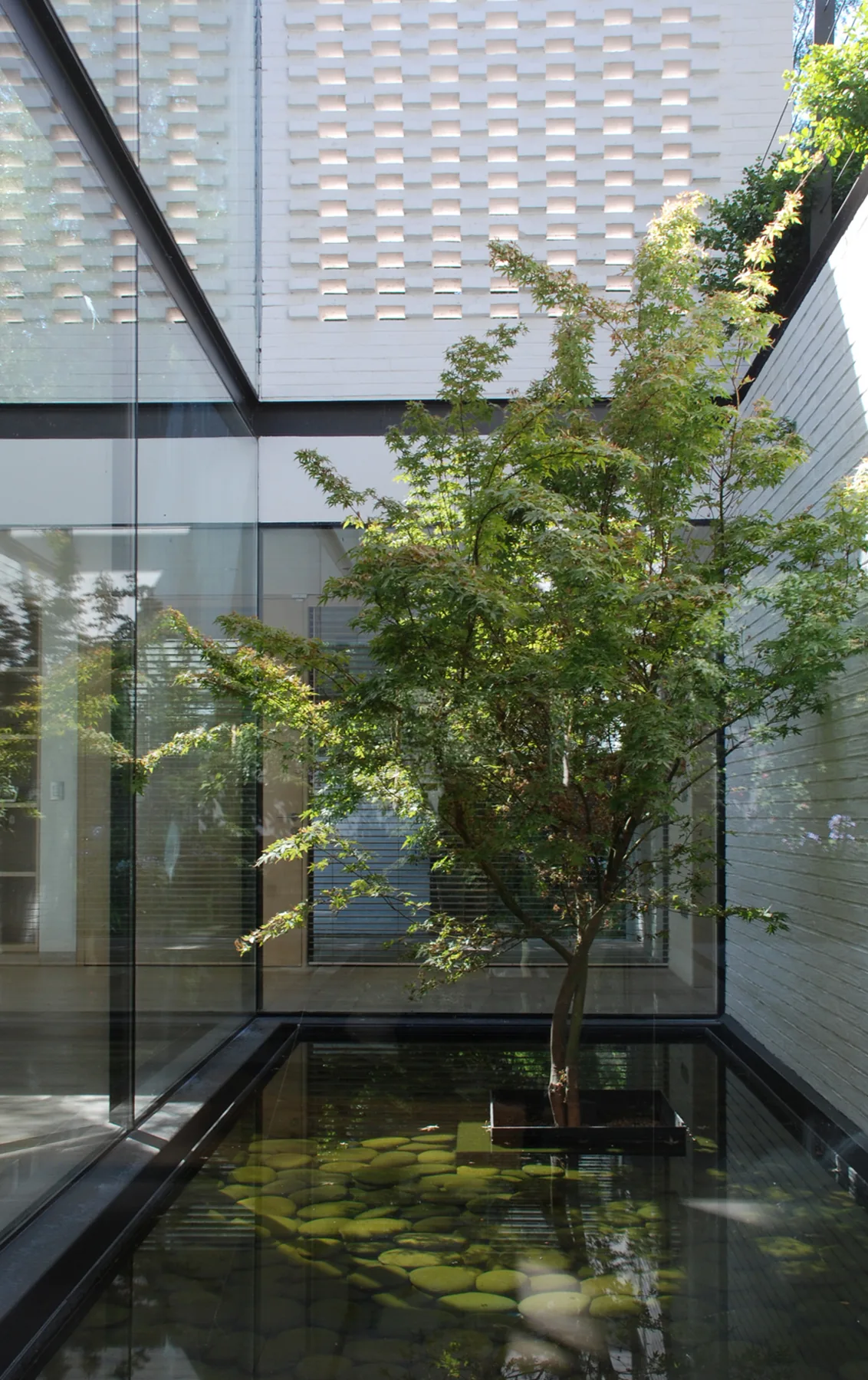 Patio interior.