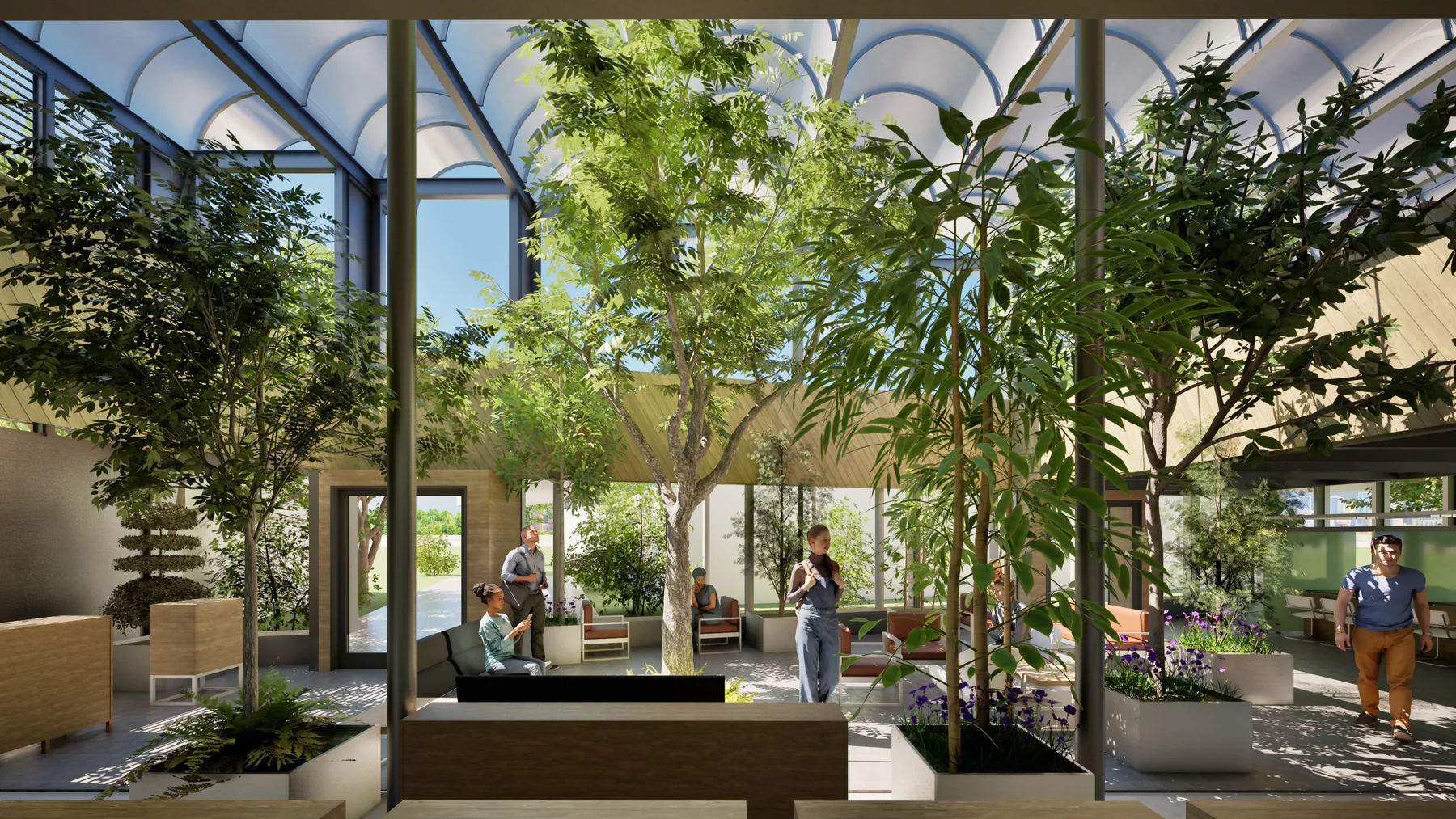 Visualización del patio interior arbolado del edificio de atención